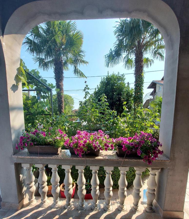 Apartman Palma Marinici  Kültér fotó