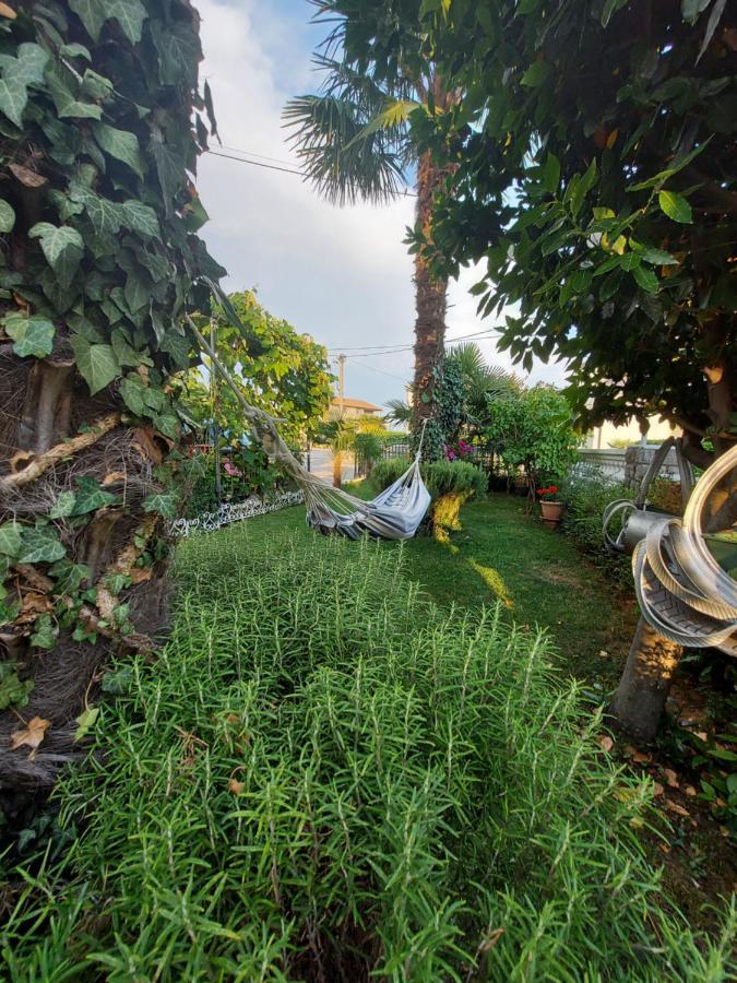 Apartman Palma Marinici  Kültér fotó
